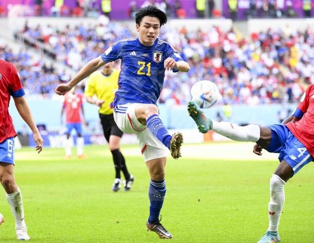 号种子组合 号种子组合