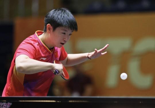 主教练的高 主教练的高