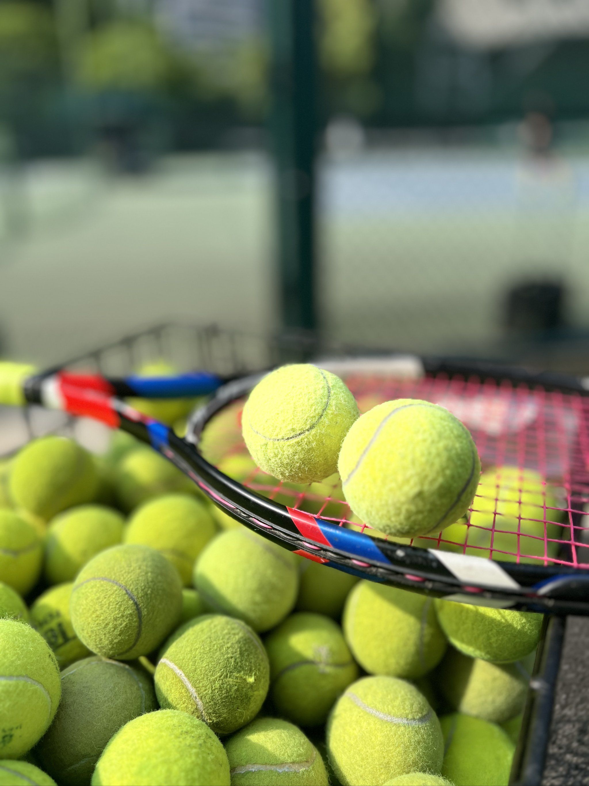 完成逆袭 完成逆袭